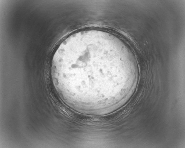 X0000067831359200605041613