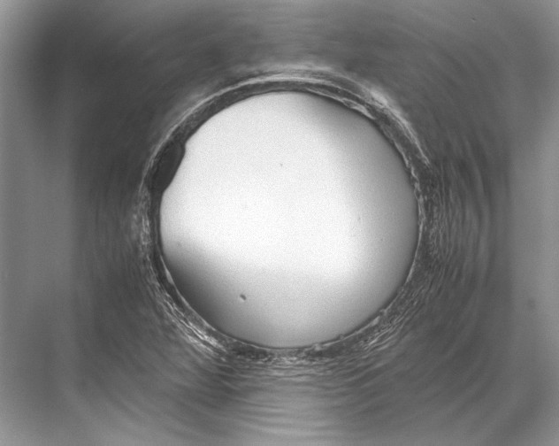 X0000067831360200605041613