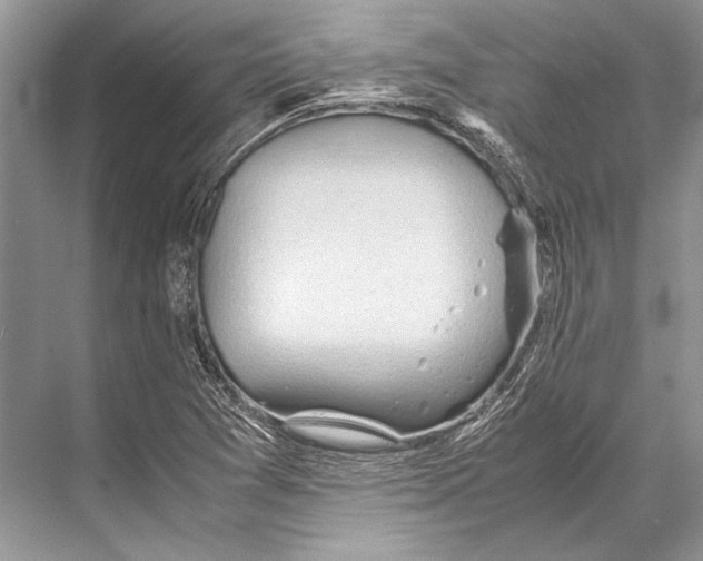 X0000067831361200605041612