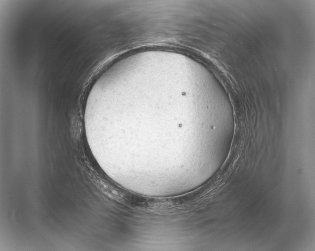 X0000067831363200605041612