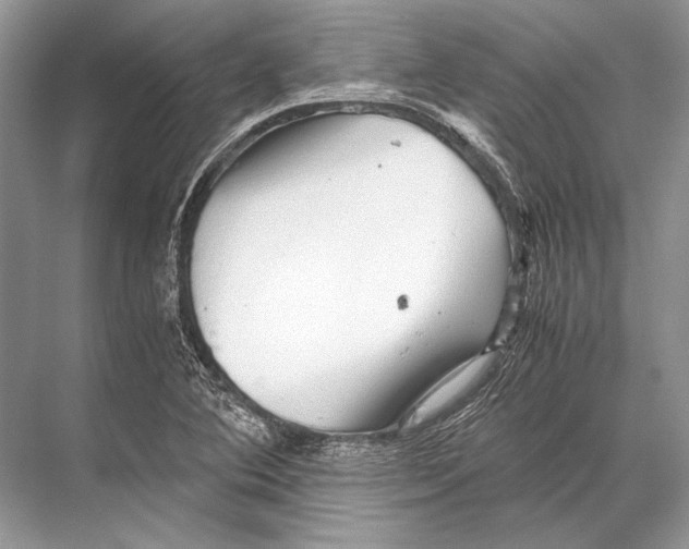 X0000067831364200605041612