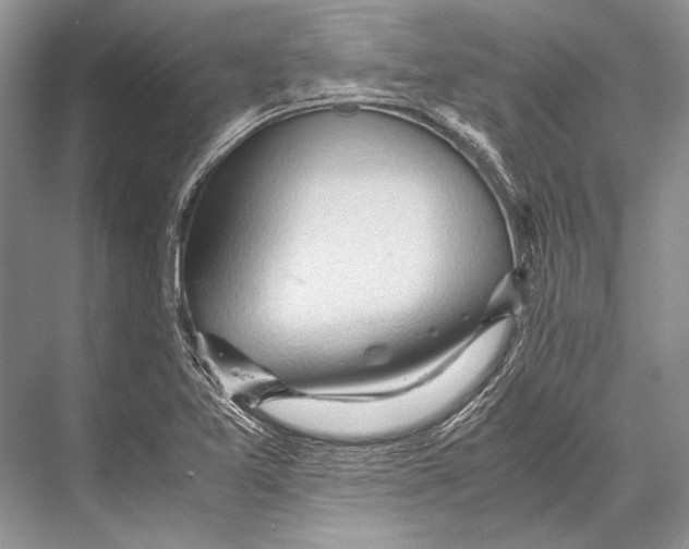 X0000067831365200605041612