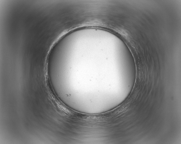 X0000067831366200605041612