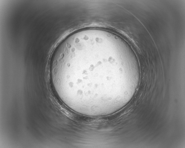 X0000067831367200605041612