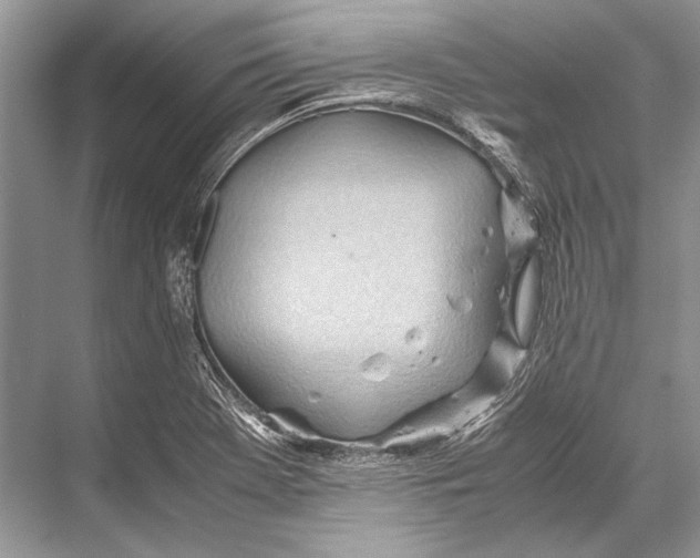 X0000067831369200605041612