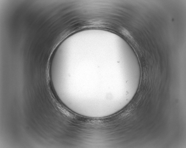 X0000067831370200605041612