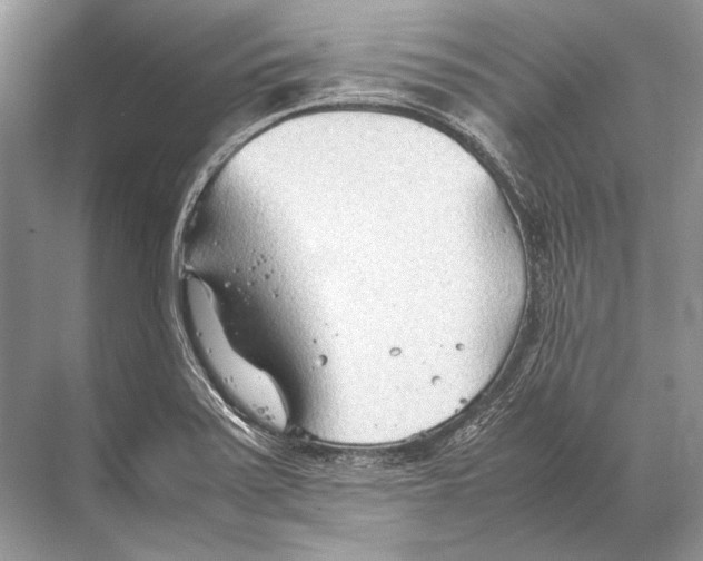 X0000067831371200605041612