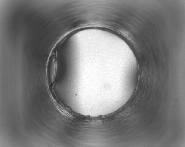 X0000067831372200605041612