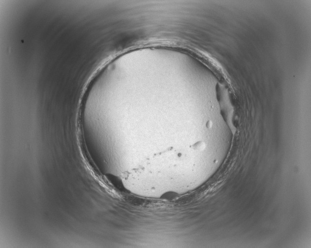 X0000067831373200605041612