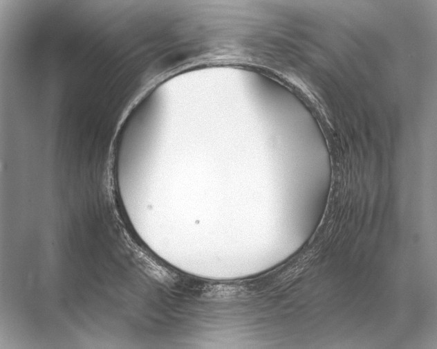 X0000067831374200605041612