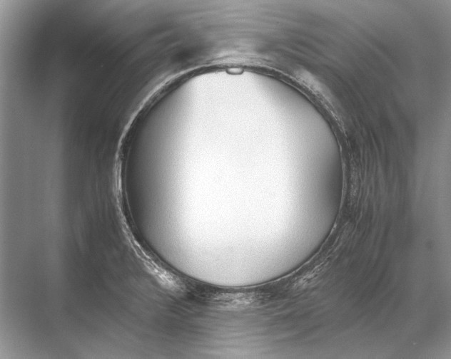 X0000067831376200605041612