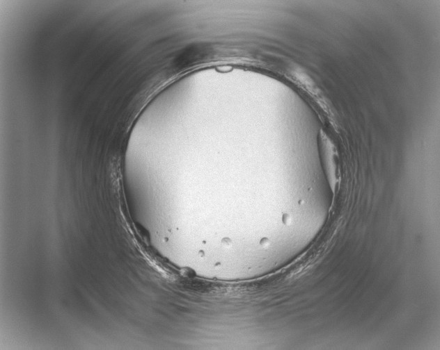 X0000067831377200605041612