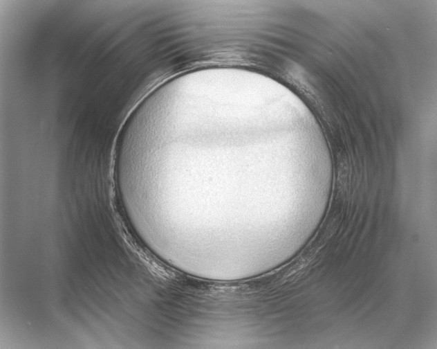 X0000067831378200605041612