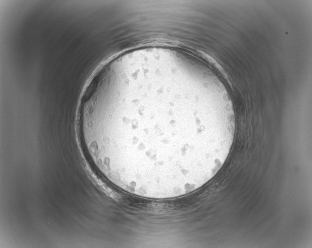 X0000067831379200605041612