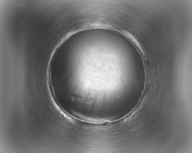 X0000067831381200605041612