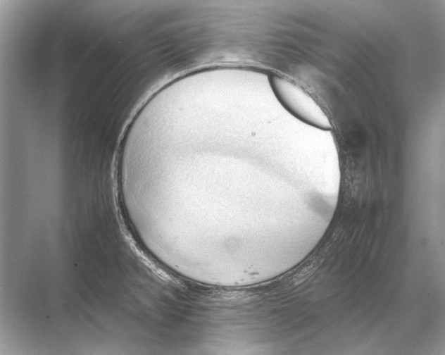 X0000067831382200605041612