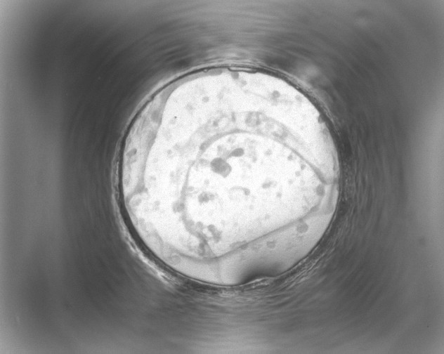 X0000067831383200605041612