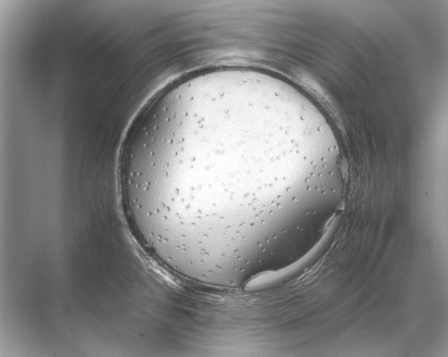 X0000067831384200605041612