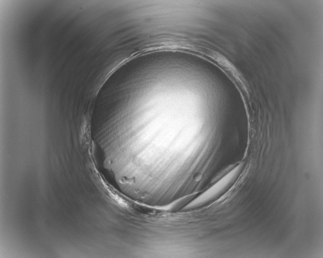 X0000067831385200605041612