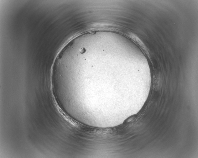 X0000067831386200605041612