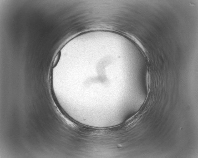 X0000067831387200605041612