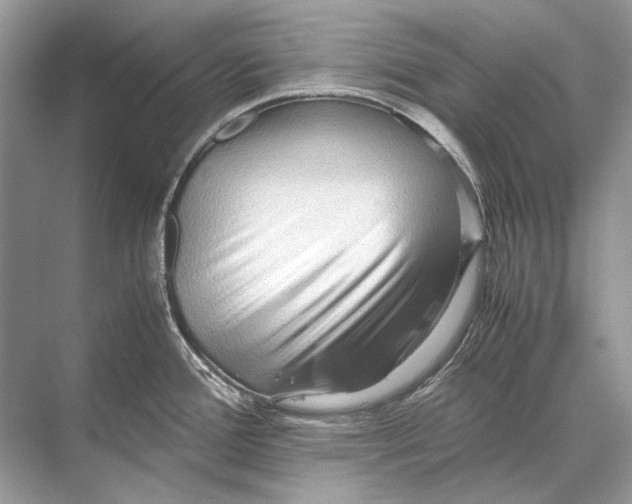 X0000067831388200605041612