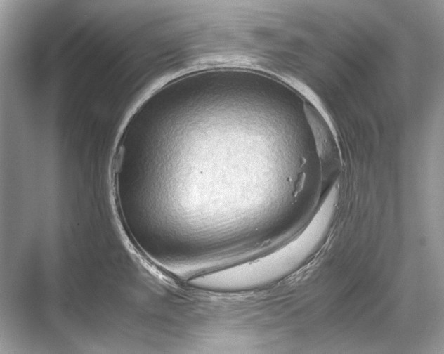 X0000067831389200605041612