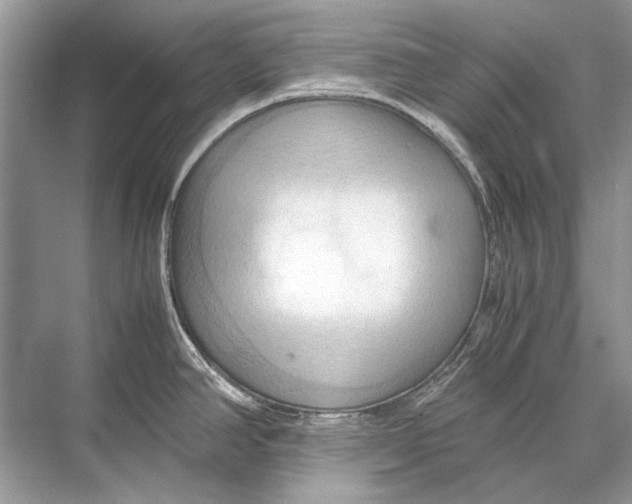 X0000067831390200605041612