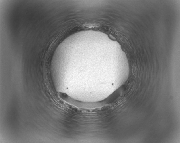 X0000067831393200605041611