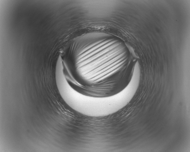 X0000067831394200605041611