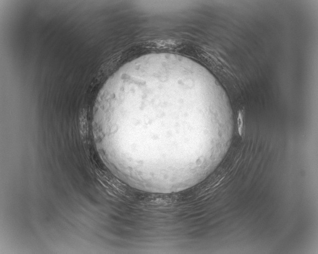 X0000067831395200605041611