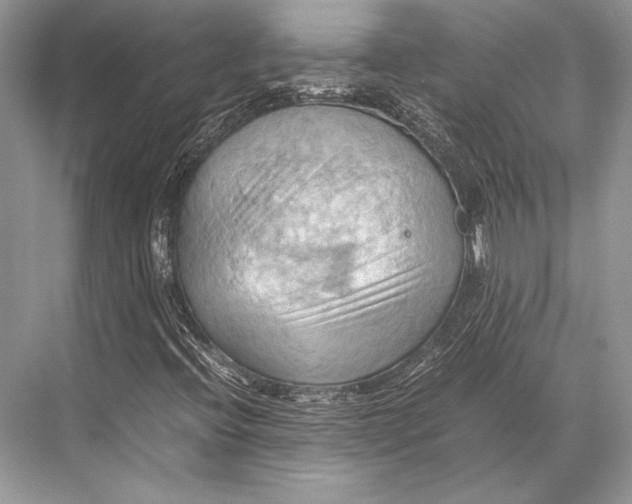 X0000067831396200605041611