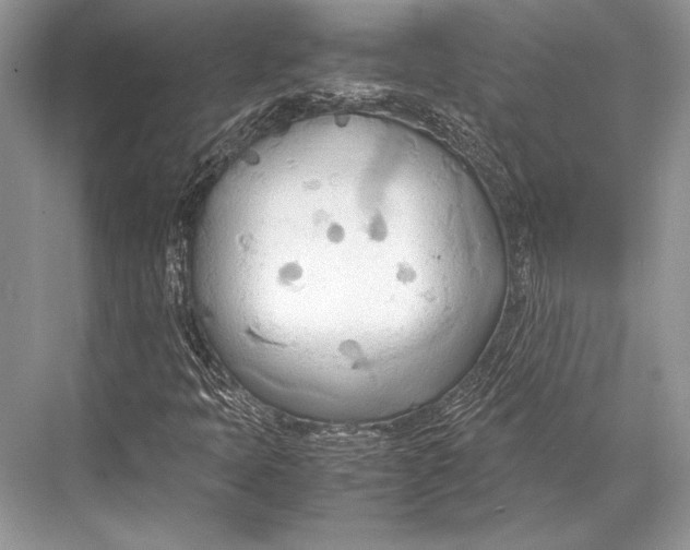 X0000067831397200605041611