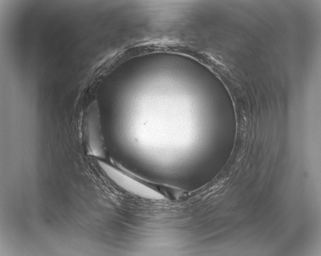 X0000067831398200605041611