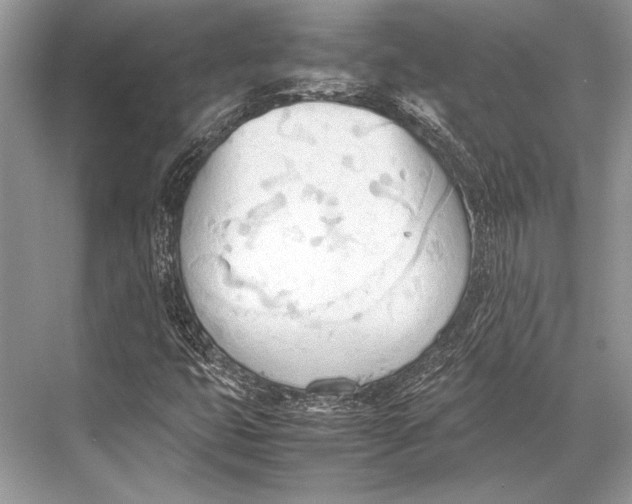 X0000067831399200605041611