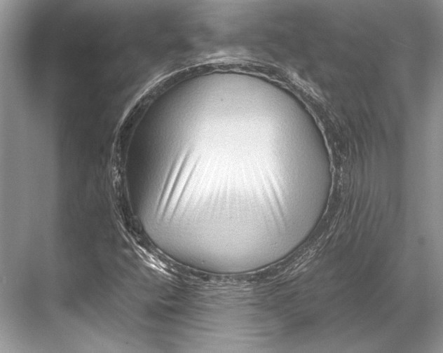 X0000067831400200605041611