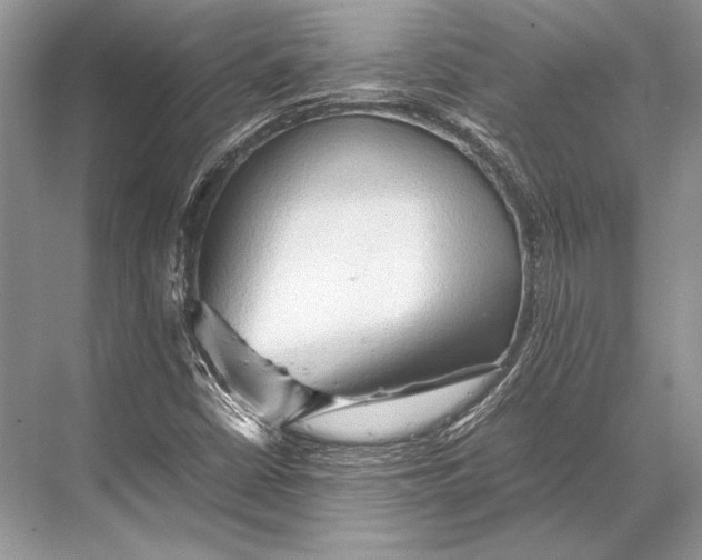 X0000067831402200605041611