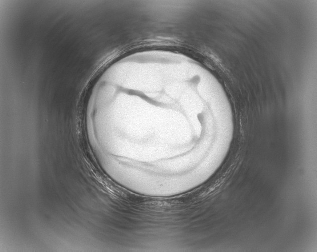 X0000067831405200605041611