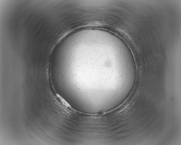 X0000067831409200605041611