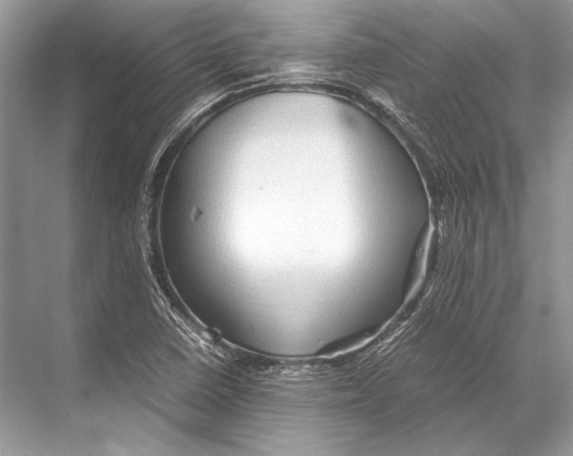 X0000067831410200605041611