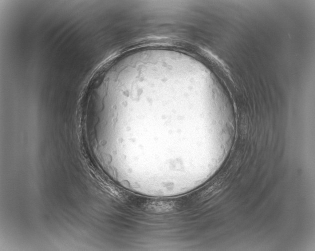 X0000067831411200605041611