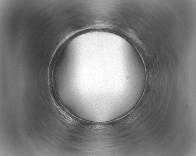 X0000067831412200605041611