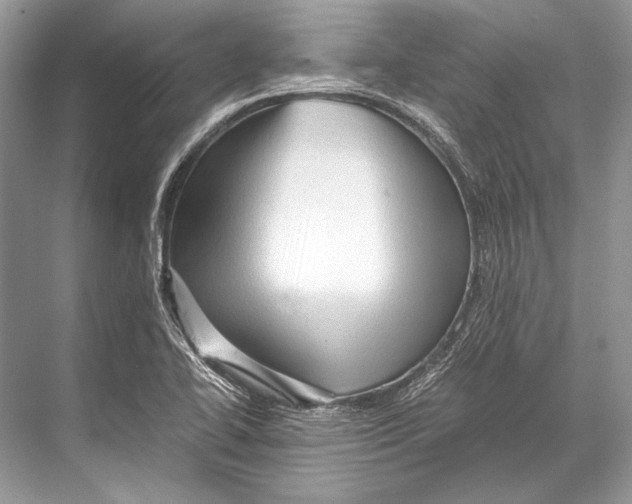 X0000067831414200605041611