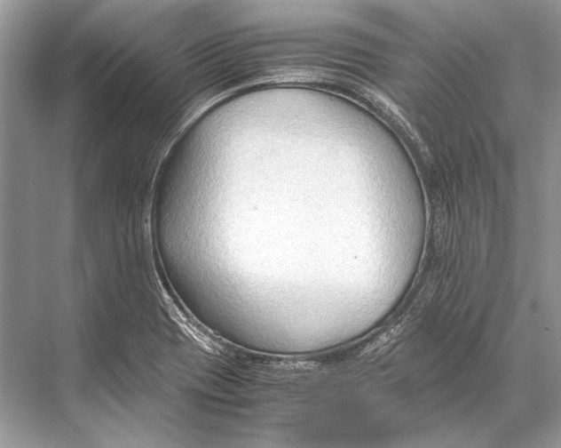 X0000067831417200605041612