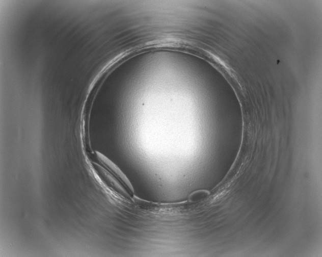 X0000067831418200605041612