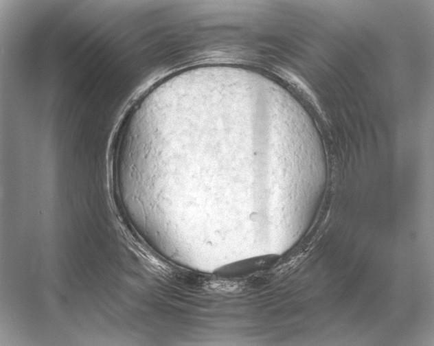 X0000067831419200605041612