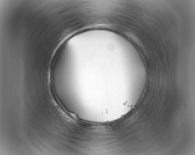 X0000067831420200605041612