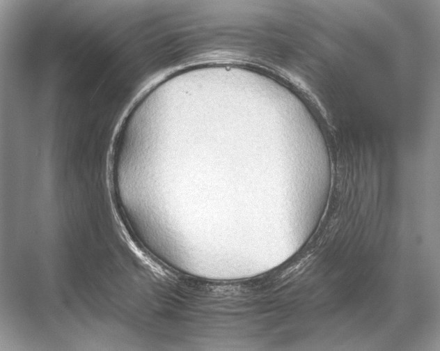 X0000067831421200605041612