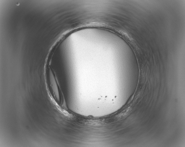 X0000067831422200605041612