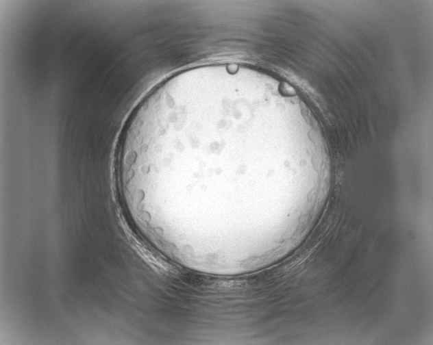 X0000067831423200605041612